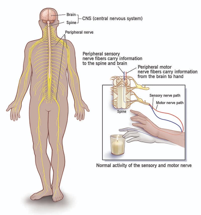 peripheral nerve surgery and treatments in tyler, texas